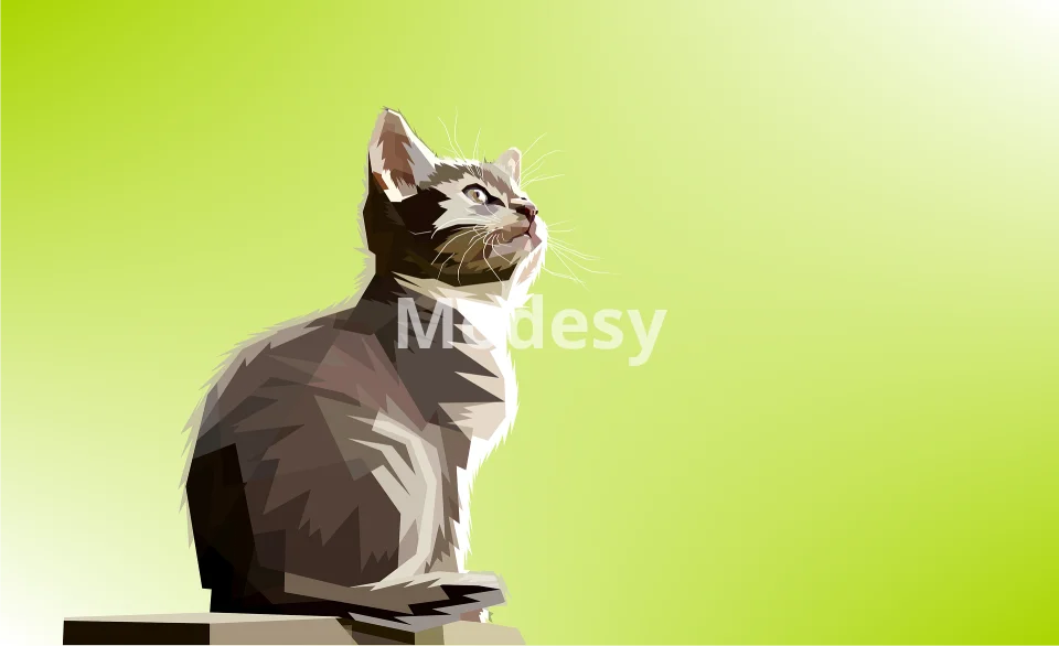 Animal colorful digital prints